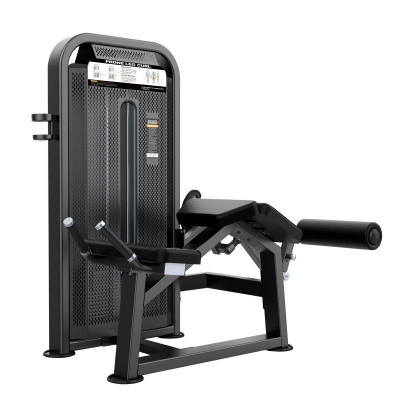 DHZ E5001 (U3001D) Сгибание Ног Лежа | Premium Fitness