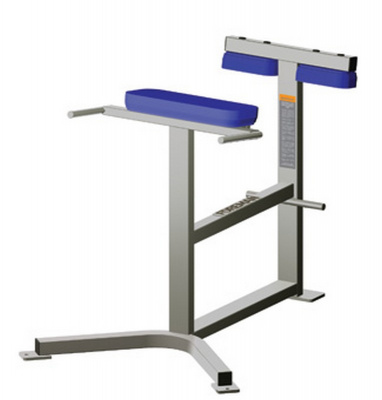 Разгибание спины Foreman FW-311 | Premium Fitness