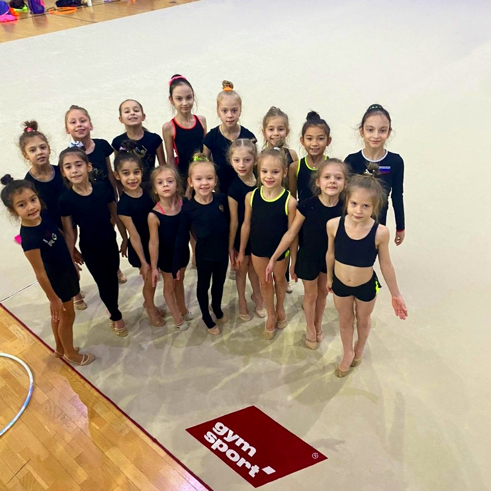Ковер гимнастический GymSport PROF PREMIUM 4х11м