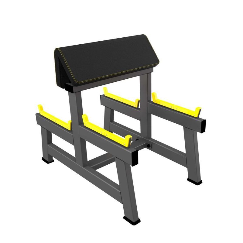 Скамья Скотта для бицепса DHZ A2044 | Premium Fitness