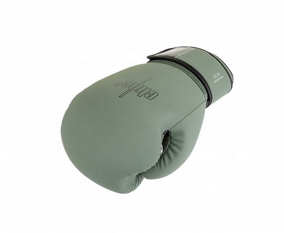 Перчатки боксерские Clinch Mist 2.0 C183 зеленый