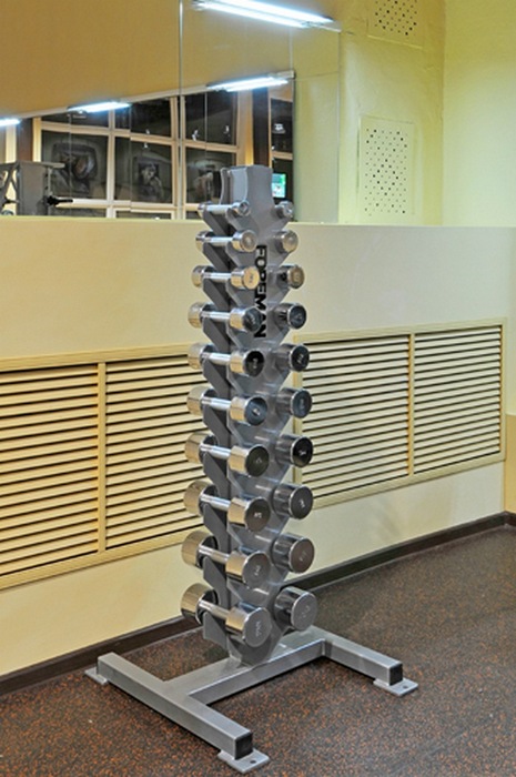 Хромированные гантели 14 кг Foreman FM\HCD-14KG пара
