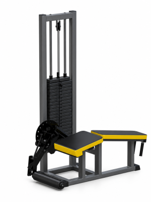ARMS Сгибание ног AR040 (стек 100 кг) | Premium Fitness
