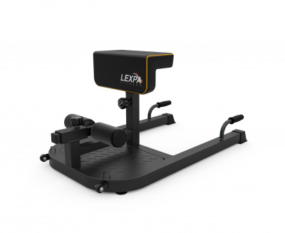 Тренажер для приседаний и гиперэкстензии DFC LEXPA D282 | Premium Fitness