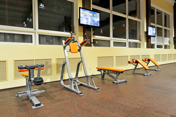 Foreman FW-704 Римская скамья | Premium Fitness