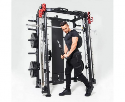 Мультистанция, машина Смита DFC Gorilla Sport 100822 | Premium Fitness