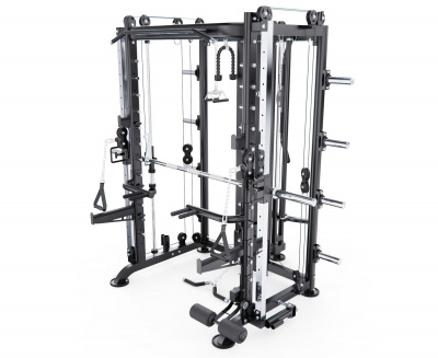 Мультистанция, машина Смита DFC MAXXUS GSMX-600066-00019-0001 | Premium Fitness