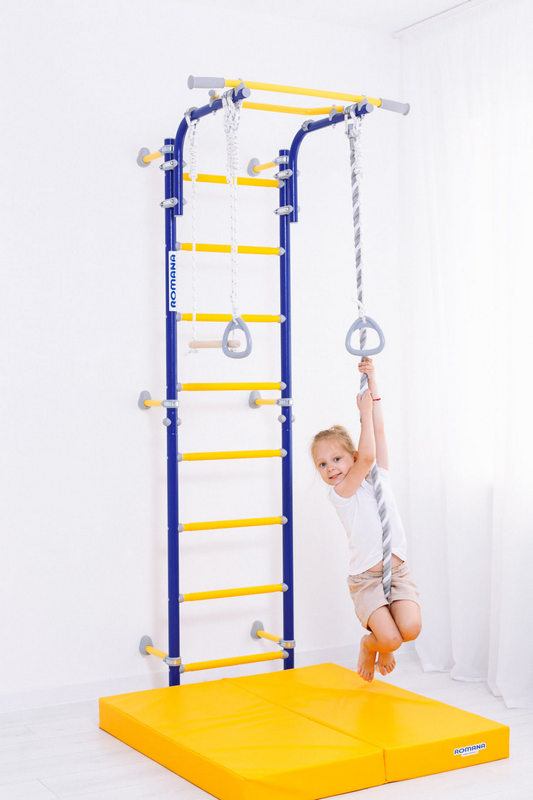 ДСКМ Romana Next Top 01.21.8.06.490.03.00-24 | Premium Fitness
