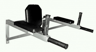 Брусья настенные со спинкой и подлокотниками (разборные)  | Premium Fitness