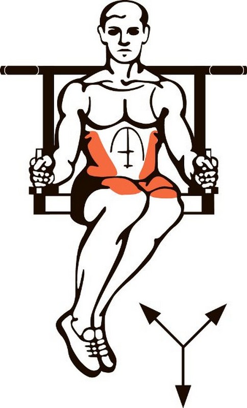 Брусья-пресс настенные  ПульсАп+Пресс, черный | Premium Fitness