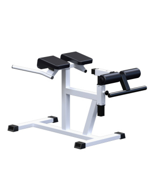 Гиперэкстензия AR027 ARMS | Premium Fitness