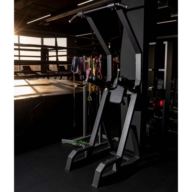 Брусья пресс турник DHZ A3049 | Premium Fitness
