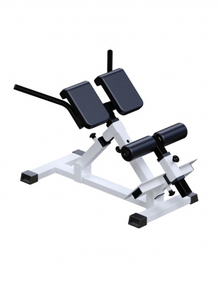 Регулируемая гиперэкстензия AR026.2 ARMS | Premium Fitness