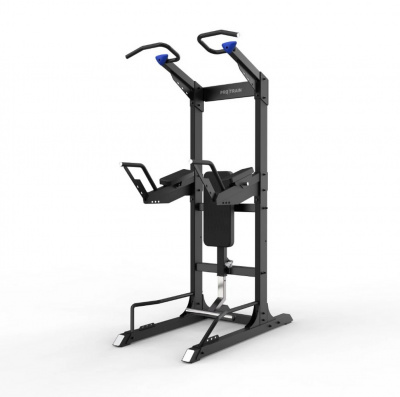 Турник\брусья\пресс Protrain GT-PTR (опция GT-PTR-PDA в комплекте) | Premium Fitness