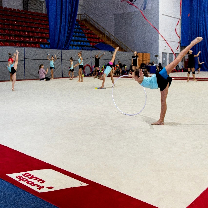 Ковер гимнастический GymSport PROF PREMIUM RED 14Х14