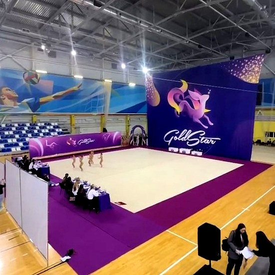 Ковер гимнастический GymSport PROF PREMIUM 4х11м