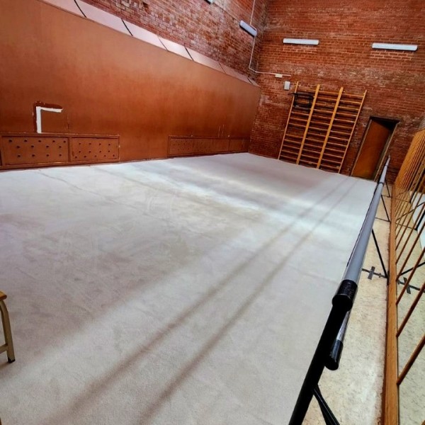 Ковер для художественной гимнастики GymSport PROF NEW 14Х14