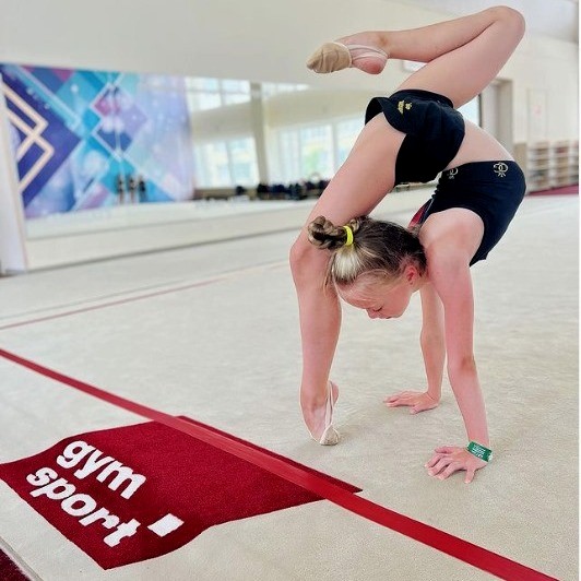 Ковер гимнастический GymSport PROF PREMIUM 4х11м