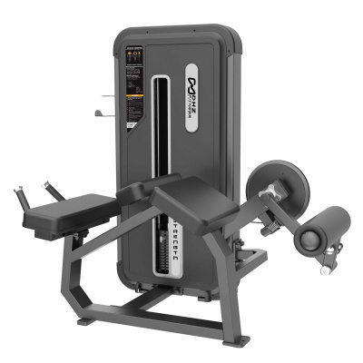 DHZ A3001 Сгибание ног лежа Prone Leg Cur | Premium Fitness