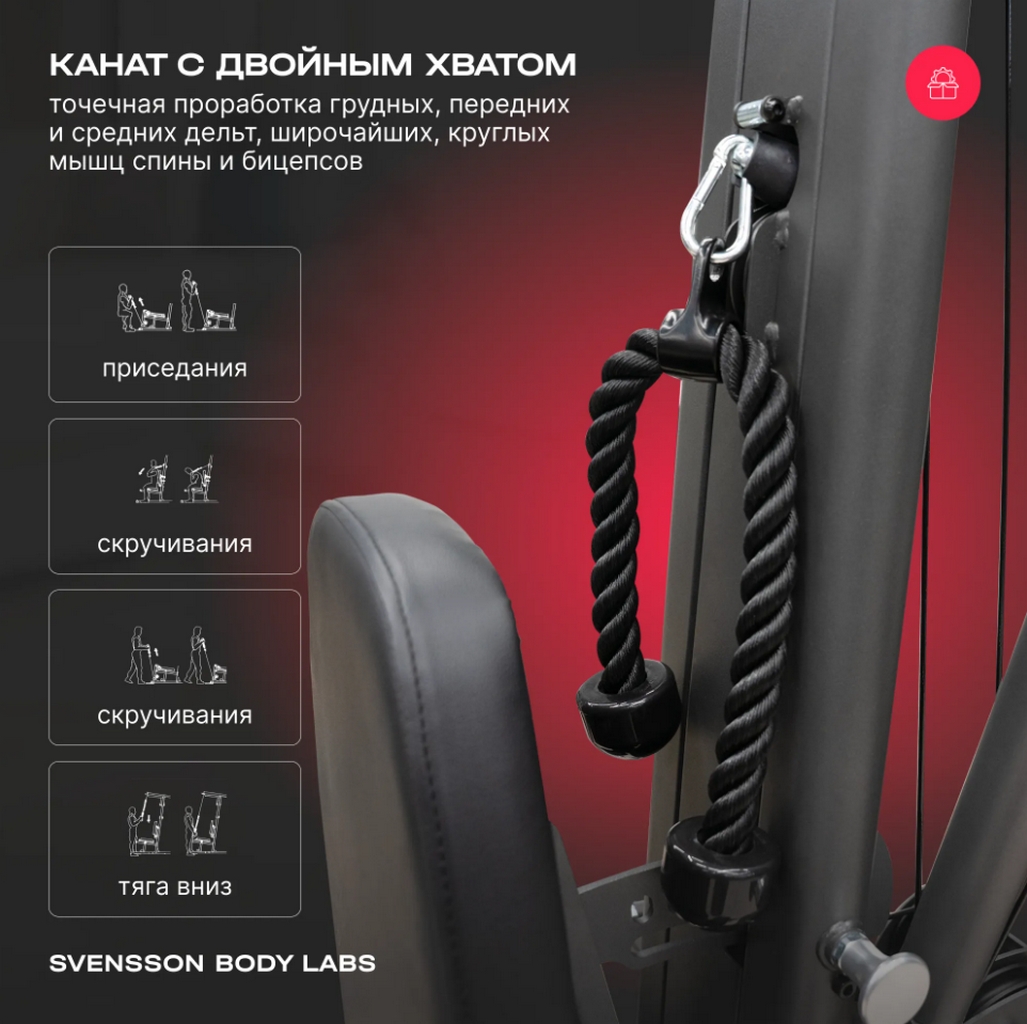 Силовой комплекс полукоммерческий Svensson Body Labs RIGEL PLUS PRO | Premium Fitness