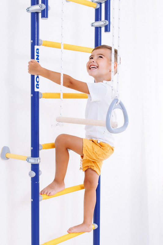 ДСКМ Romana Next Top 01.21.8.06.490.03.00-24 | Premium Fitness