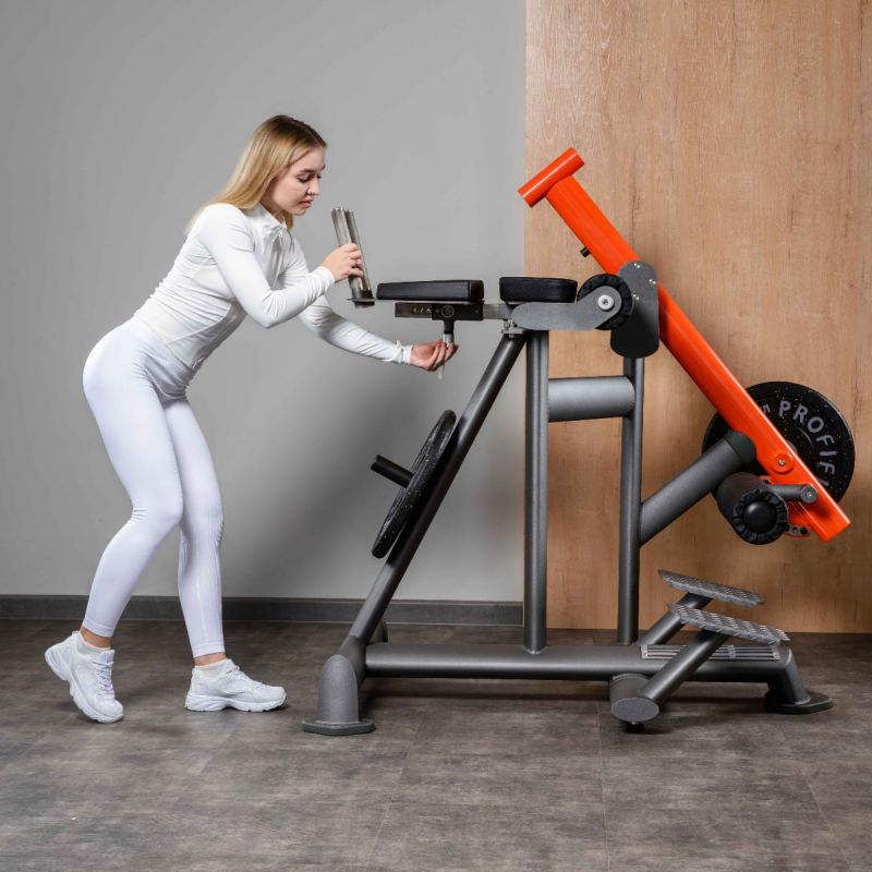DHZ T924: Обратная гиперэкстензия | Premium Fitness