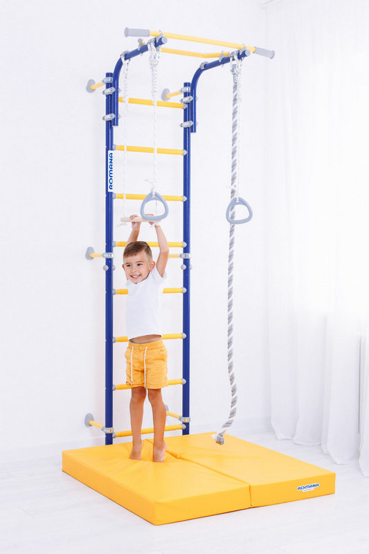 ДСКМ Romana Next Top 01.21.8.06.490.03.00-24 | Premium Fitness
