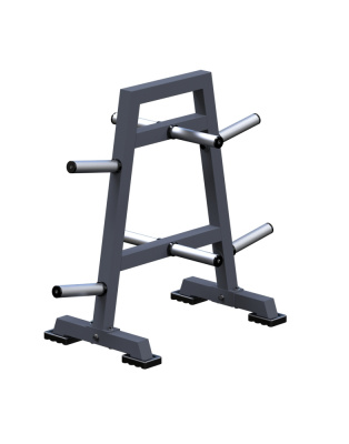Стойка для дисков Олимп ARMS ARМ024.2 | Premium Fitness