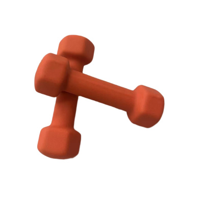 Гантель неопреновая 1 кг (2шт) Body Form BF-DN04-X2