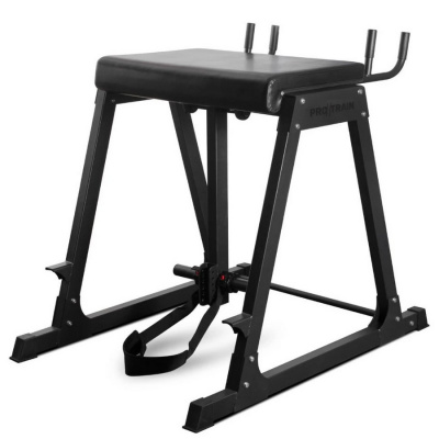 Protrain 678 RH — Гиперэкстензия обратная | Premium Fitness