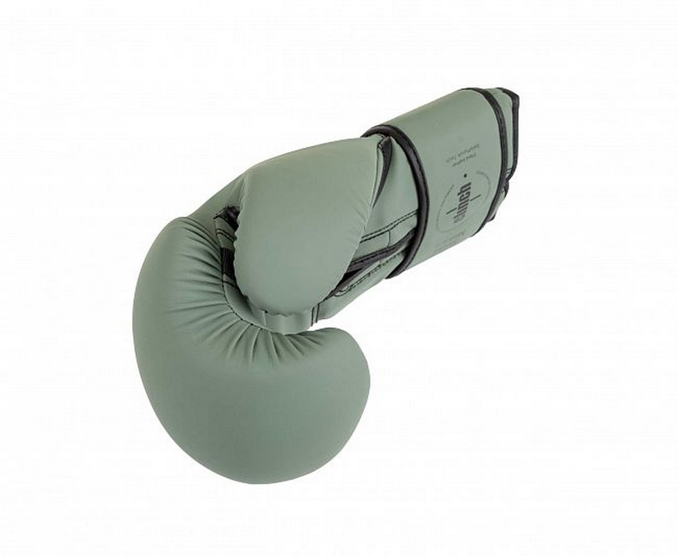 Перчатки боксерские Clinch Mist 2.0 C183 зеленый