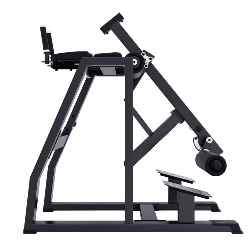 Обратная гиперэкстензия DHZ A613 | Premium Fitness