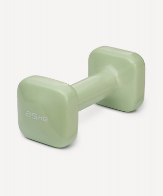 Гантель виниловая 2,5 кг Star Fit DB-106 оливковый