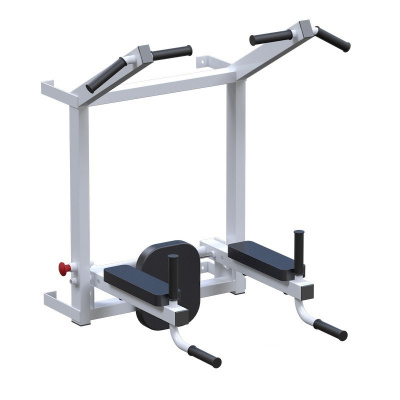 Турник+брусья+пресс ARMS L060 | Premium Fitness