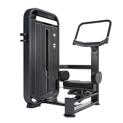 DHZ E7018 Вращение Торса Rotary Rorso | Premium Fitness