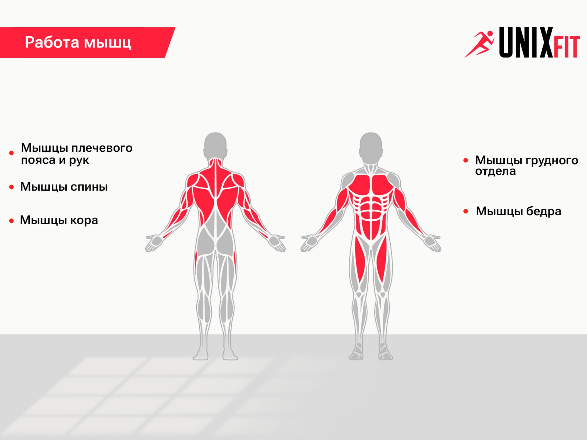 Турник настенный 3 в 1 UnixFit PULL UP 200 BSPU200 | Premium Fitness