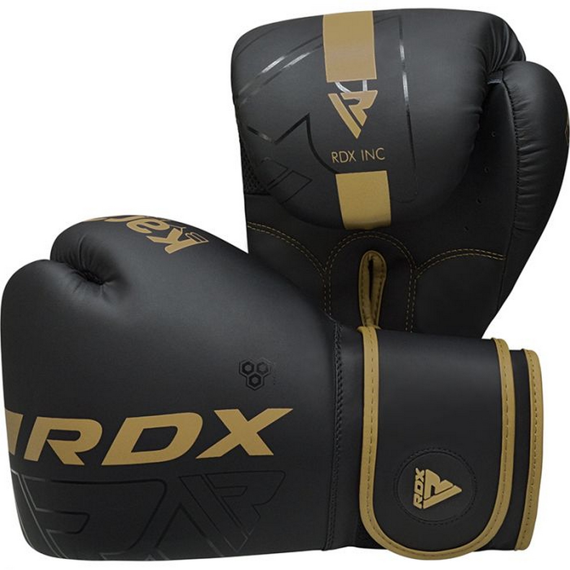 Перчатки тренировочные RDX BGR-F6MGL-12OZ черный\золотой матовый