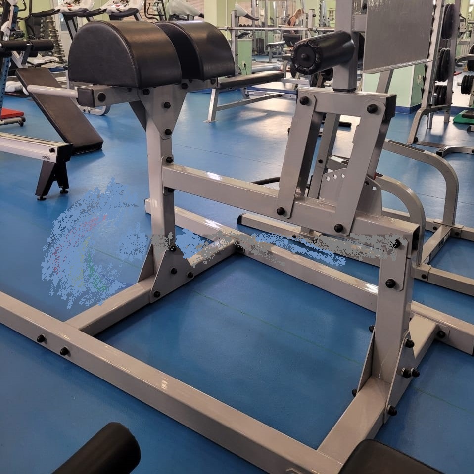 Тренажер для Пресса и Гиперэкстензии  GHD PRO 2 | Premium Fitness