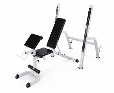 Скамья со стойками под штангу, с партой для бицепса DFC GORILLA 201321B белый | Premium Fitness