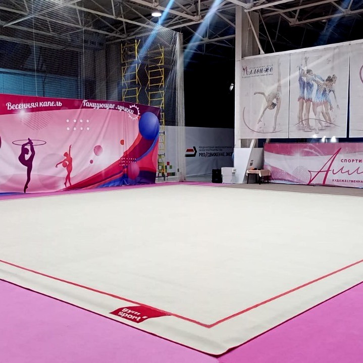 Ковер гимнастический GymSport PROF PREMIUM 4х11м