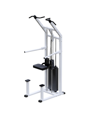 ARMS Турник с противовесом, стек 100 кг AR049 | Premium Fitness