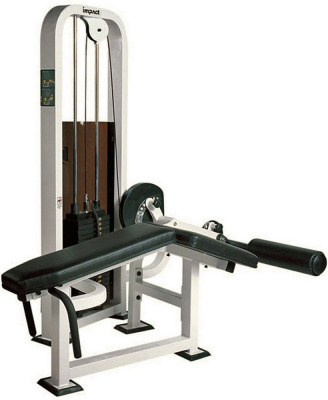 Johns SB 1021 — сгибание ног лежа | Premium Fitness