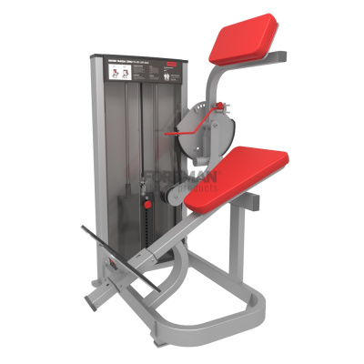 Нижние мышцы спины Foreman FN-305 | Premium Fitness