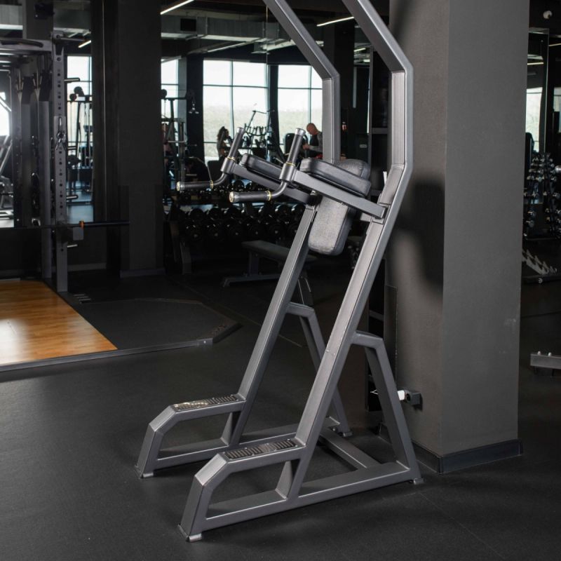Брусья пресс турник DHZ A3049 | Premium Fitness