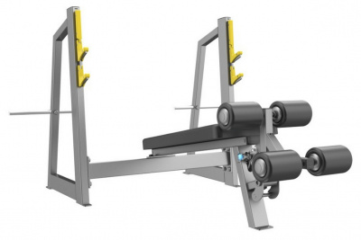 Скамья-стойка для жима под углом вниз DHZ A3041 | Premium Fitness