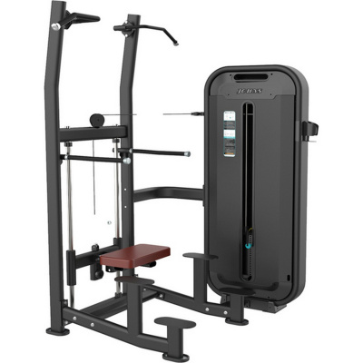 Ассистент Johns DT-846 Турник-Брусья | Premium Fitness