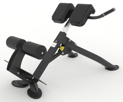 Гиперэкстензия 45 градусов SPIRIT SP-4220 | Premium Fitness