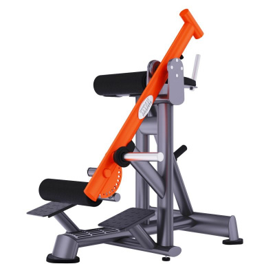 DHZ T924: Обратная гиперэкстензия | Premium Fitness