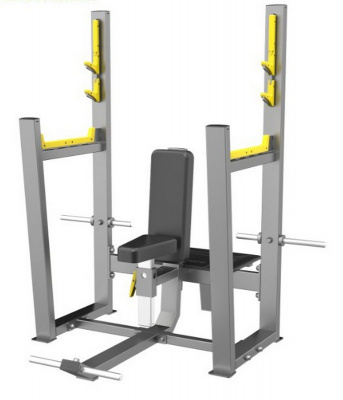 Скамья для вертикального жима штанги DHZ A3051 | Premium Fitness