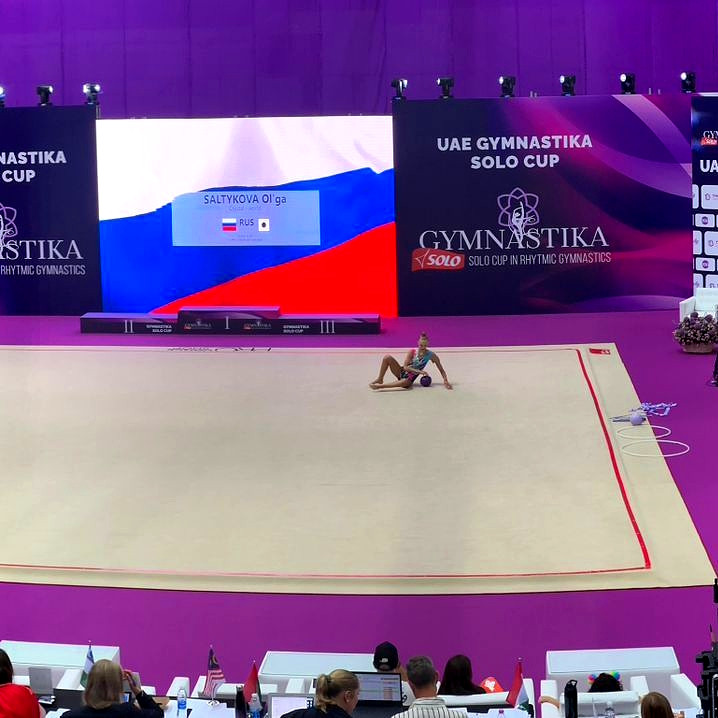 Ковер гимнастический GymSport PROF PREMIUM 4х11м